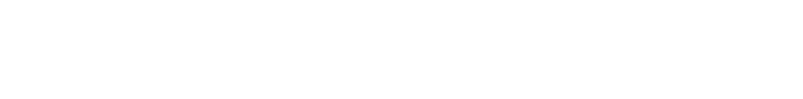 A Action American Insurance Company